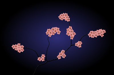 뉴턴역학을 번역한 여성 과학자