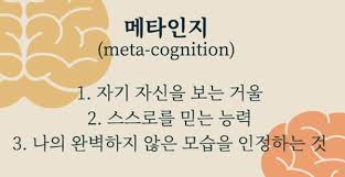 메타인지의 정의