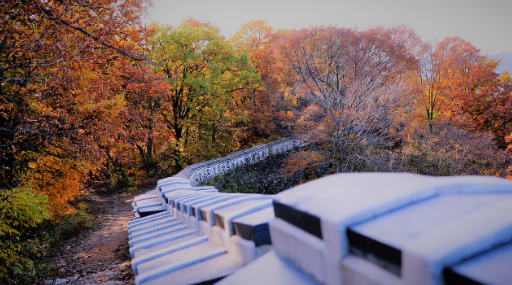 서울 근교 단풍 명소 BEST 5 , 화담숲 예약 모노레일 예약 방법
