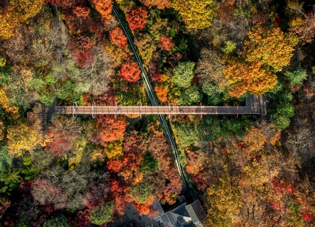 화담숲 예약하기 &amp;#124; 100% 성공하는 팁