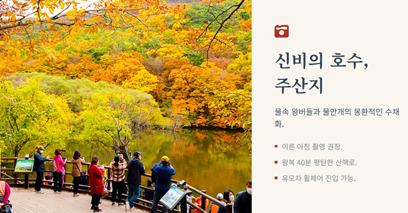 주왕산 단풍 절정시기