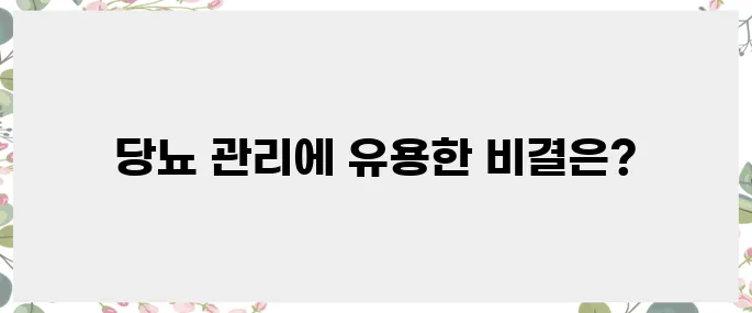 당뇨 환자를 위한 최고의 영양제 추천