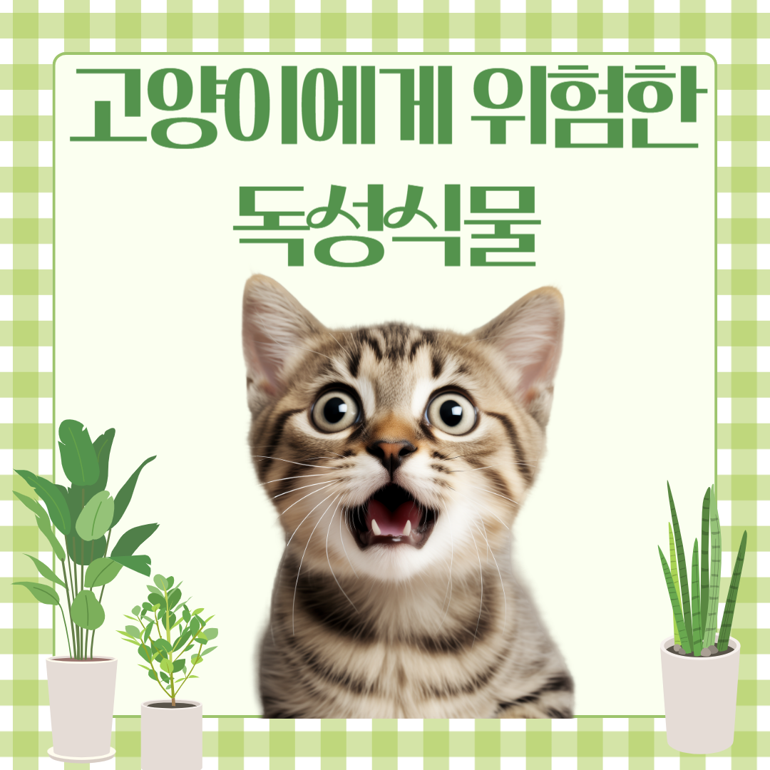 고양이 독성식물