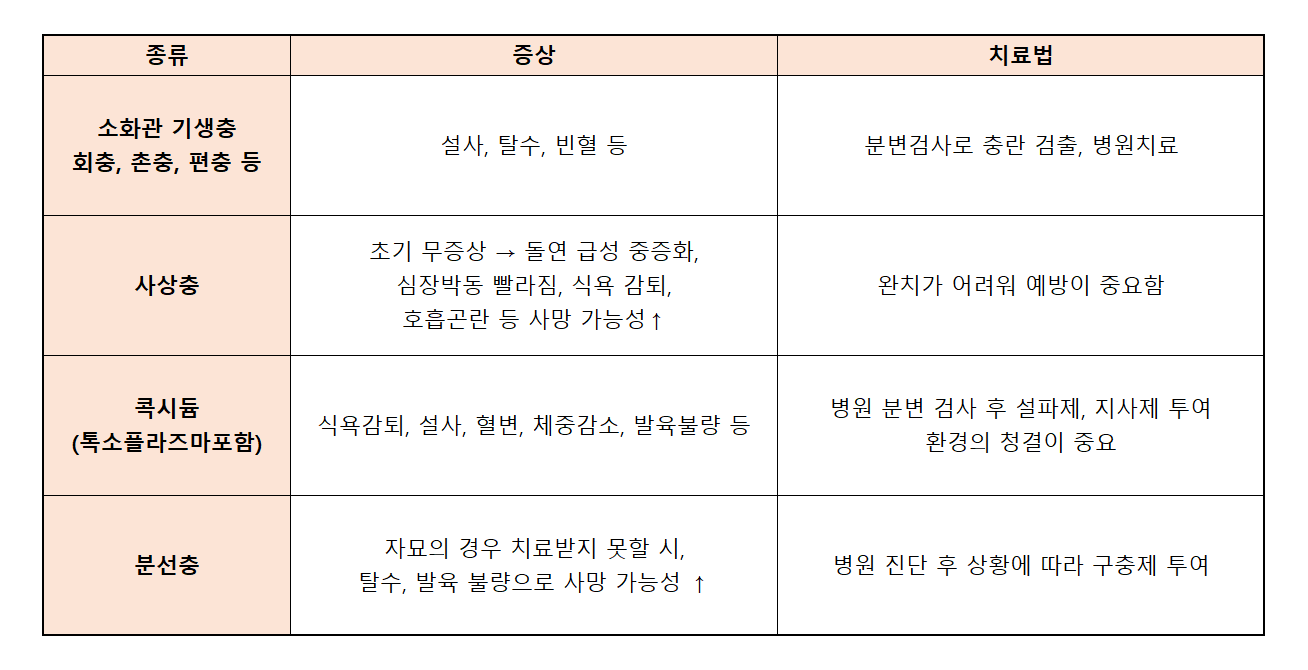 고양이 구충제 시기, 필요성, 종류