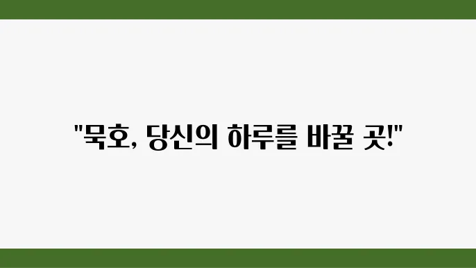 묵호 앞바다에서의 놀라운 경험