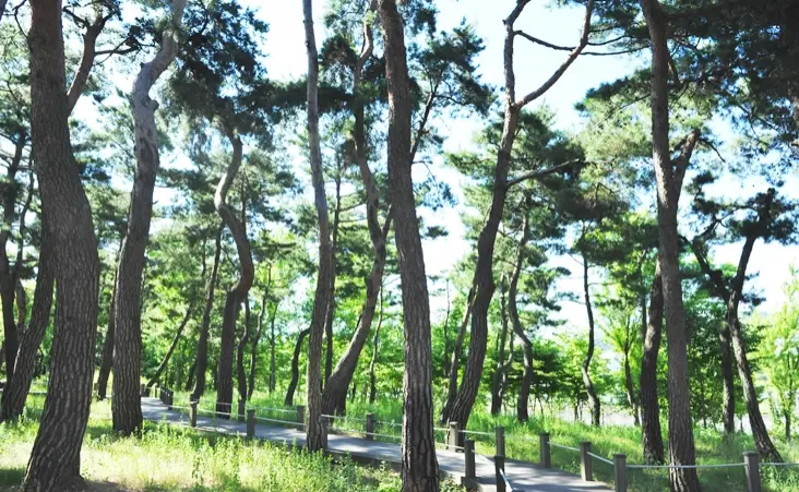 대전-한밭수목원-입장료-주차-요금-관람시간