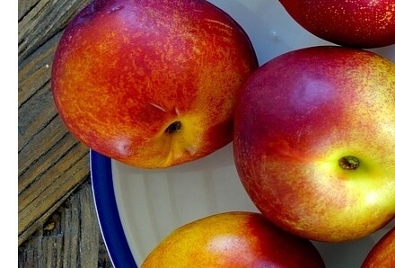 천도복숭아효능