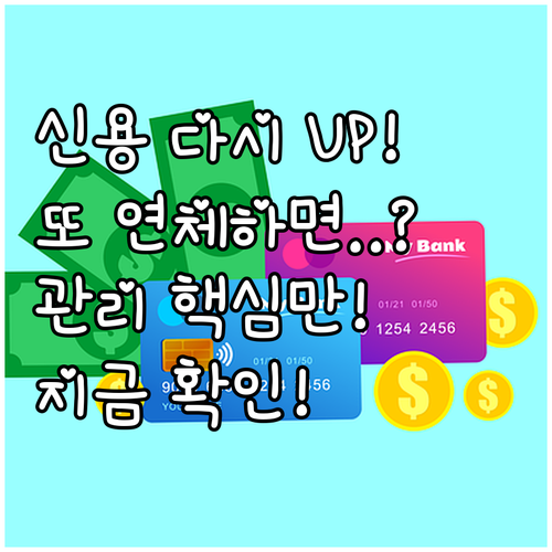 신용사면으로 회복된 신용 지키기: 재..