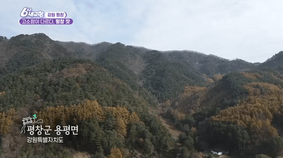 [6시내고향]강원도 평창 고급 잣 &amp;#39;평창잣농원 영농조합법인&amp;#39; 택배 배송 연락처 정보 