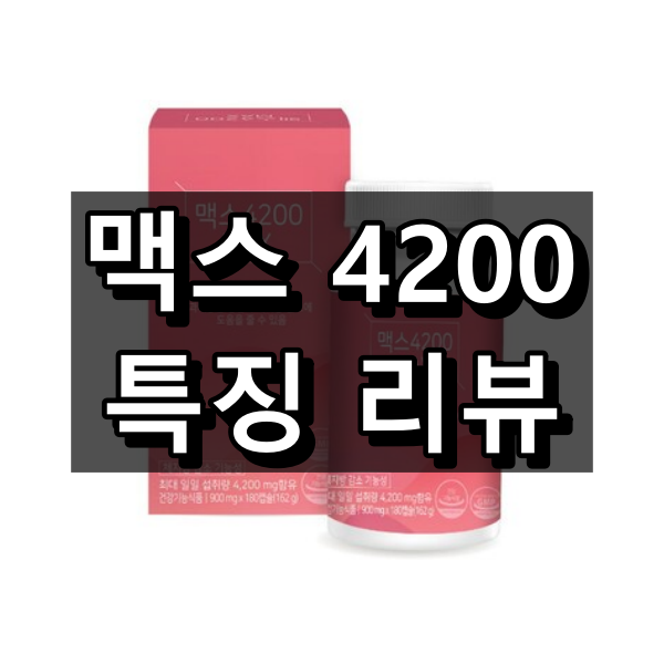 맥스 4200 대표 이미지
