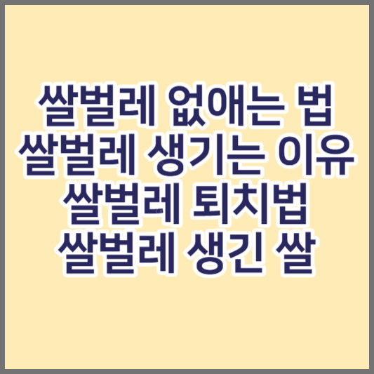 쌀벌레-없애는-법