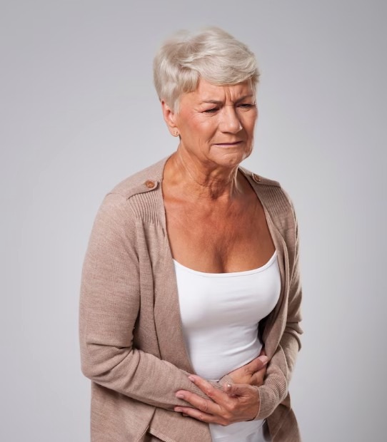 청력 보조기기 지원금