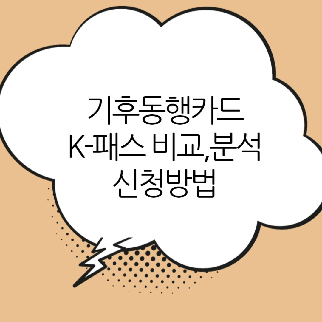 K-패스-기후동행카드-비교-분석