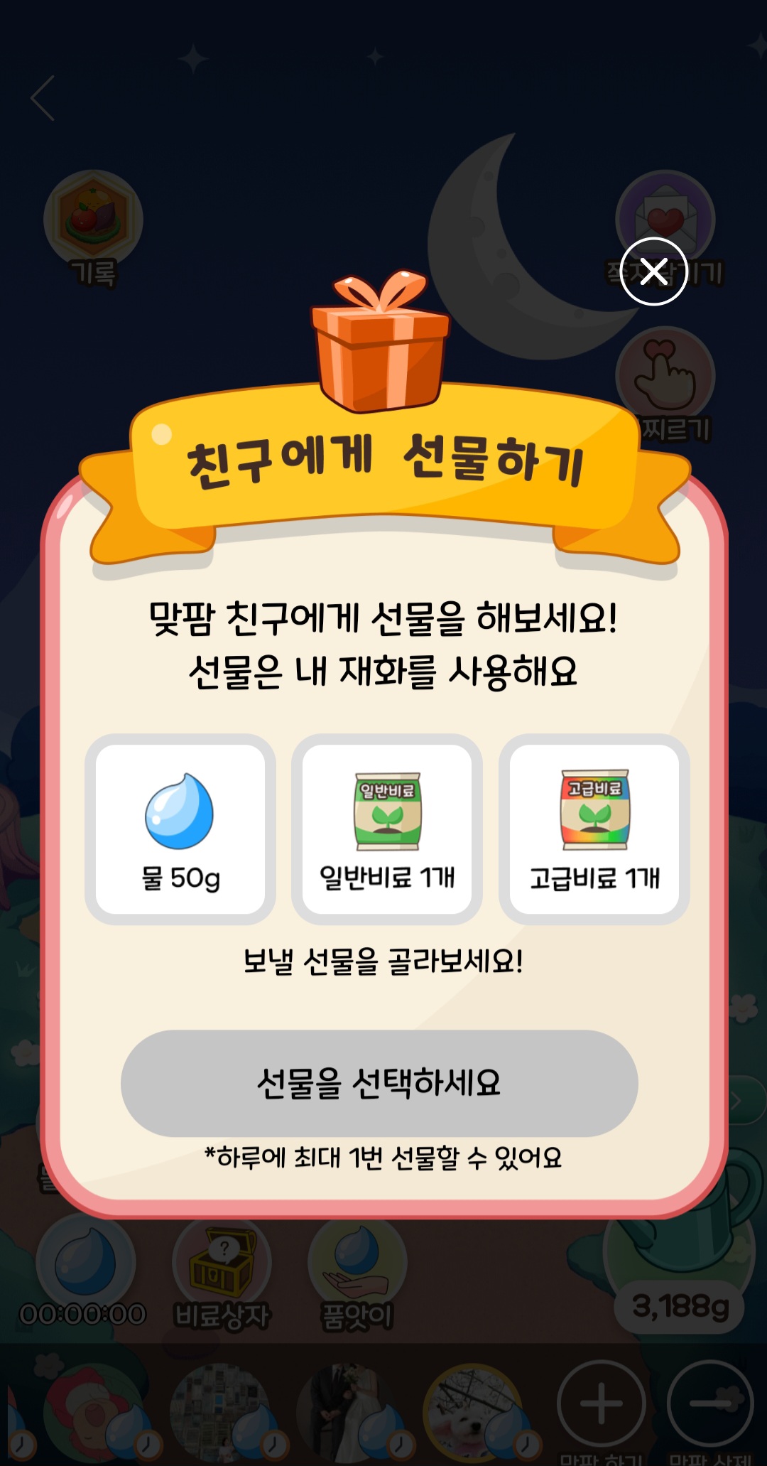 맞팜 선물하기