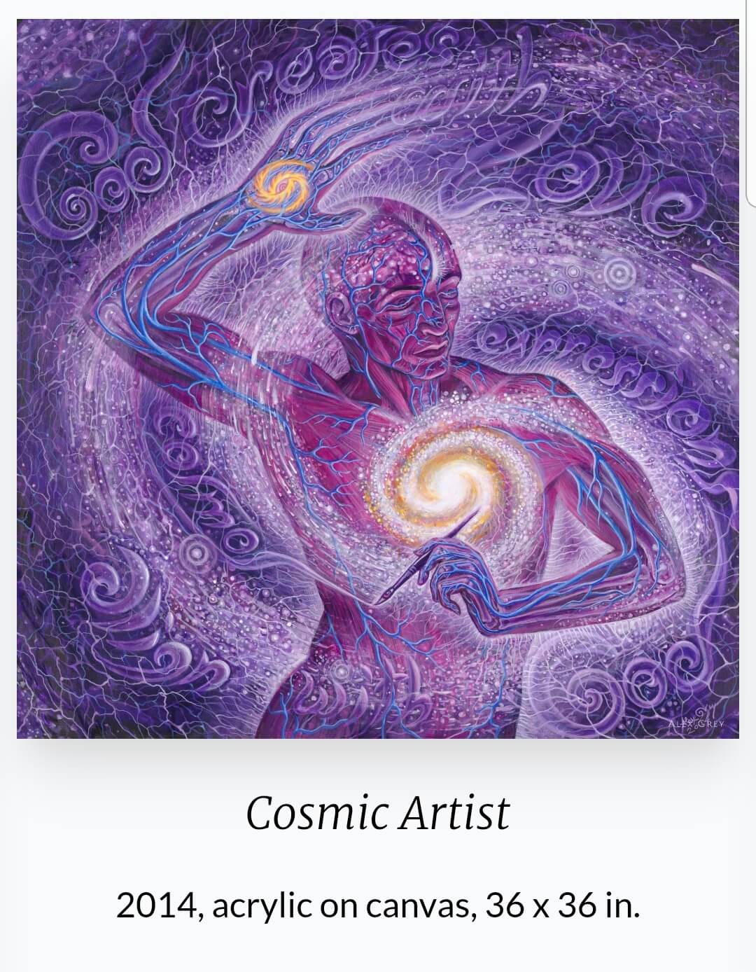 Alex Grey ( 1953~ ) 작품 &amp;#39;Cosmic Artist&amp;#39;