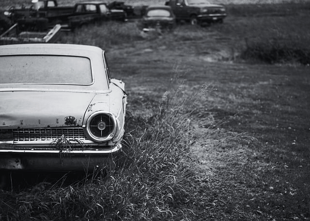 제주 렌트카 비교사이트