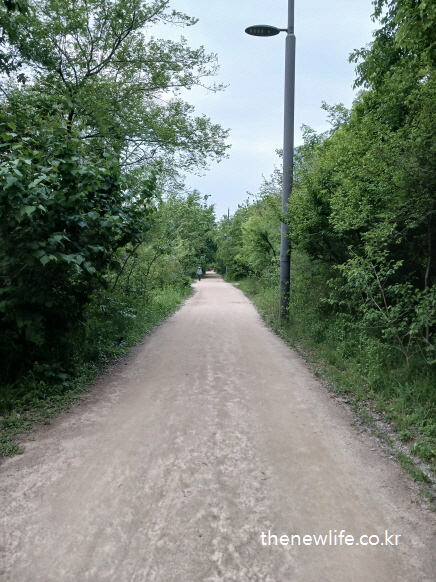 가로등이 설치된 서울 여의도 샛강생태공원의 조용한 맨발 걷기 좋은 길