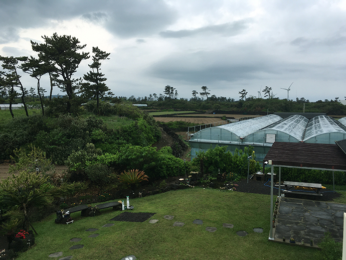 숙소 앞 마당풍경