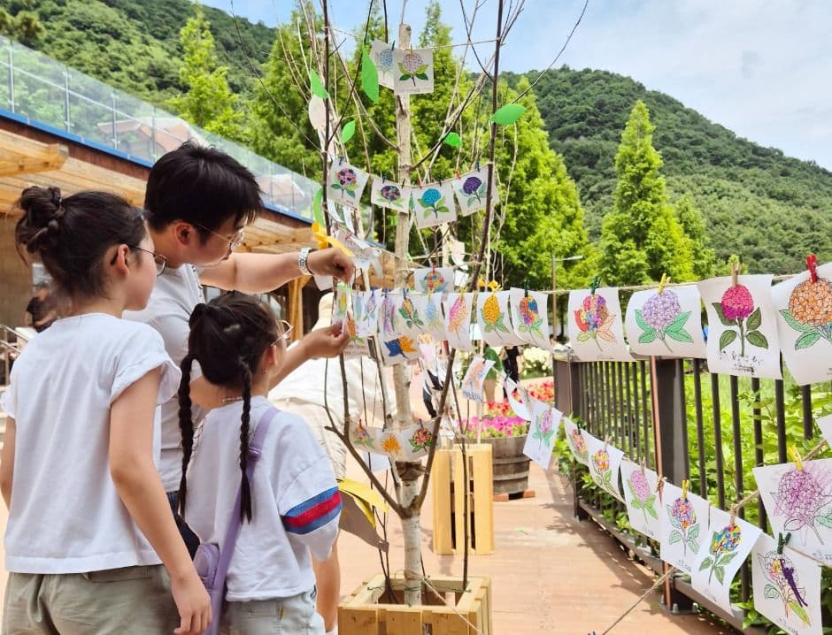 [6월 축제]2025 월아산 수국 수국 페스티벌❘기간, 일정, 체험 프로그램 및 공연 정리