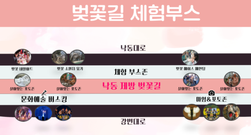 부산 낙동강 정원 벚꽃 축제