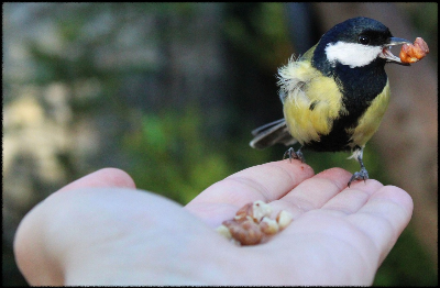 중고생 집중력+성장 식단 (철분, 아연, DHA 함유식)