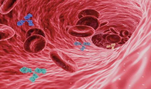 프로폴리스 효능