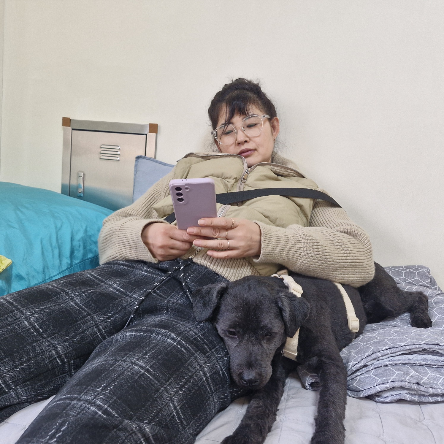 강아지 침대,쇼파에서 땅파기행동하는 진짜이유 7가지