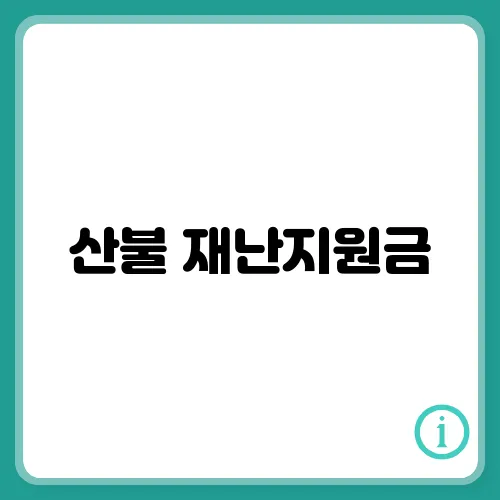 산불 재난지원금, 신청 방법 안동, 의성, 지급시기 총정리