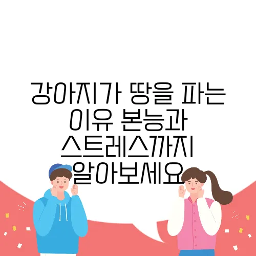 강아지가 땅을 파는 이유 본능과 스트레스까지 알아보세요