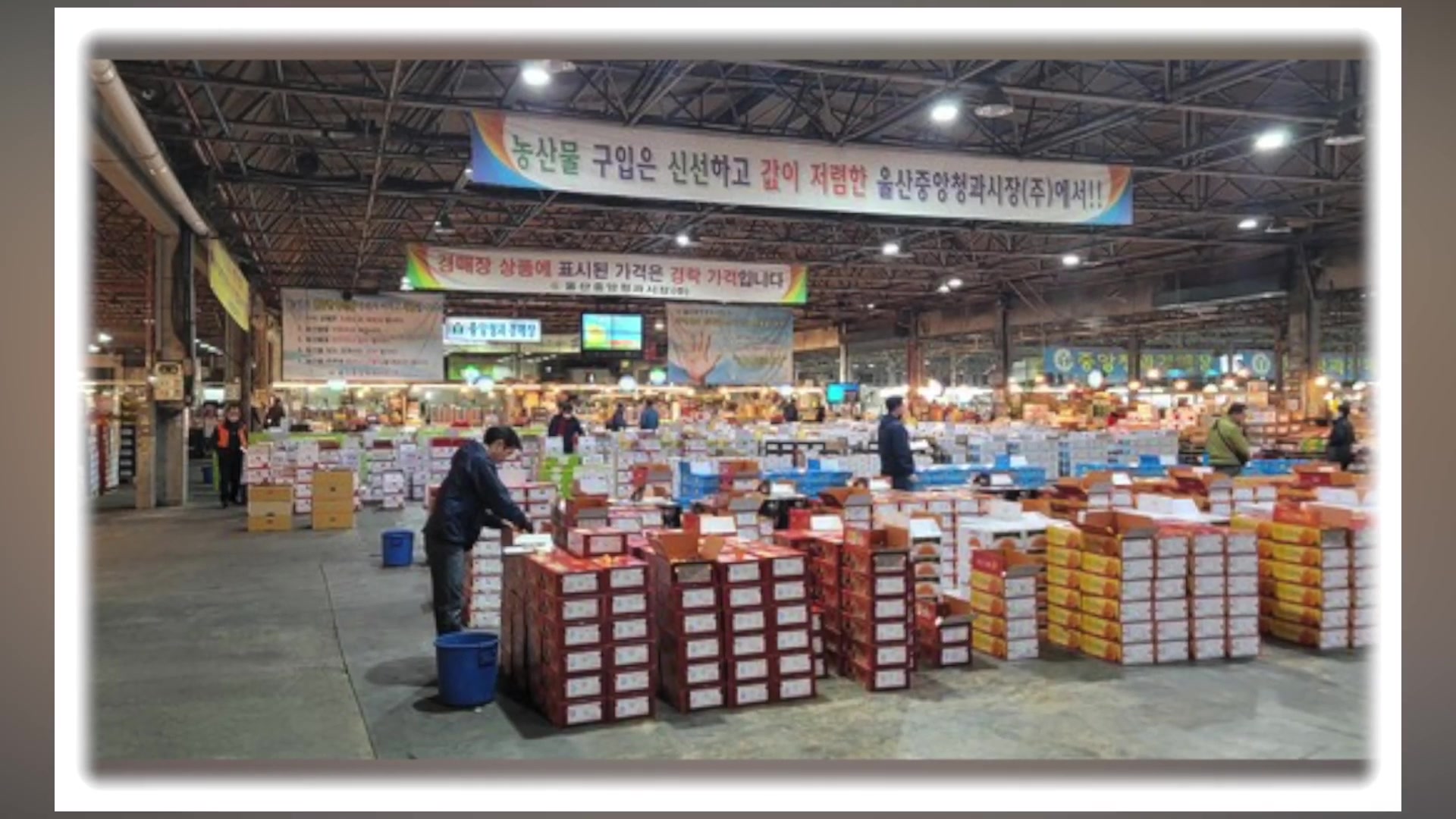 도매 시장 일용직