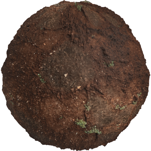 wet earthy ground texture
