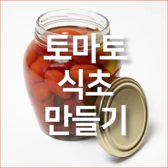 토마토-식초-만드는-법-절임-만들기