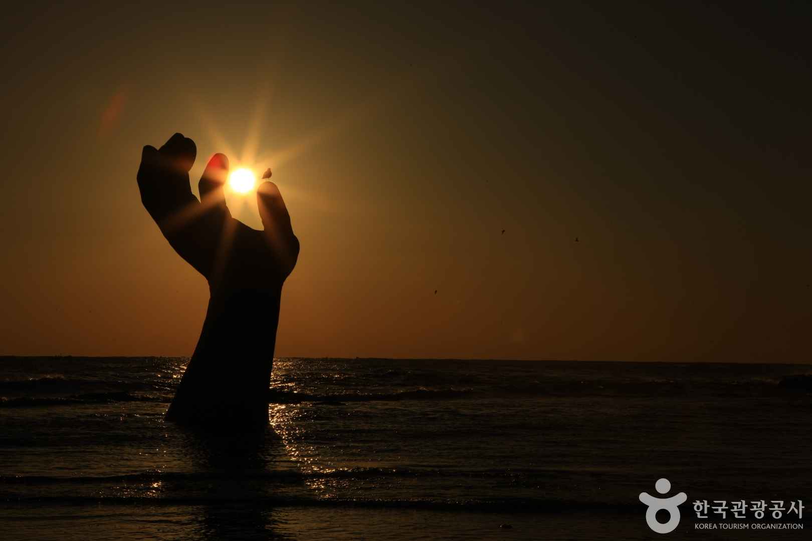 호미곶