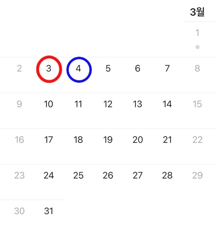 2025년3월