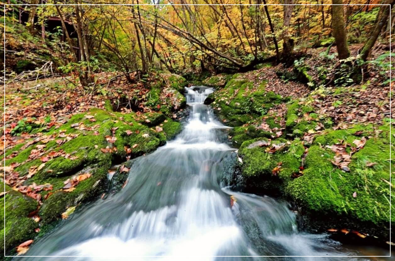태백 가볼만한곳 베스트10 검룡소