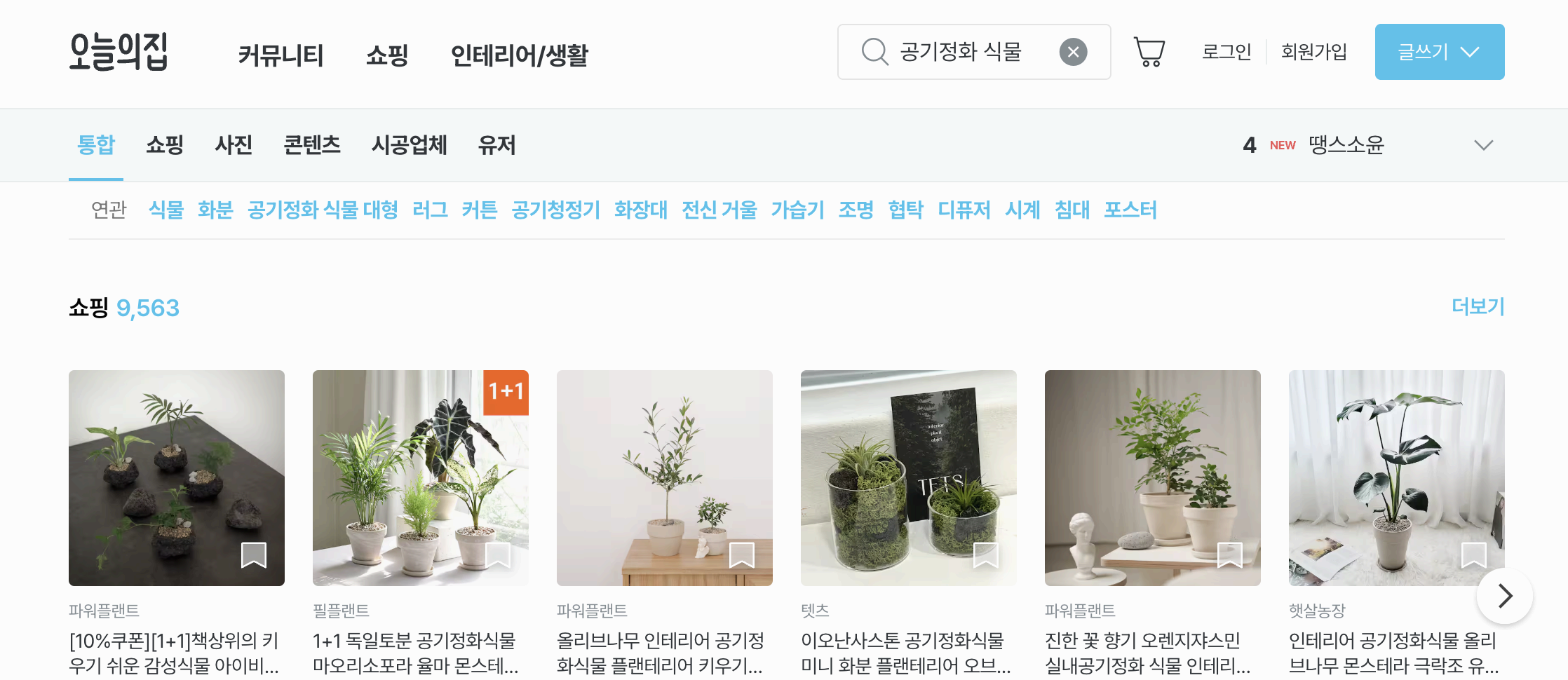 공기정화식물 어디서 살까?