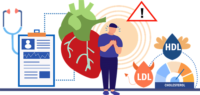 LDL HDL 콜레스테롤의 영향을 받는 남자