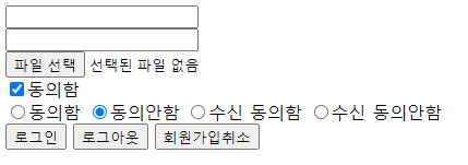 html-input
