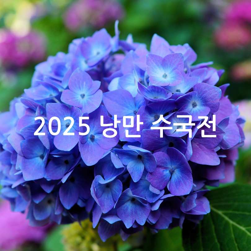 서울식물원 낭만수국전