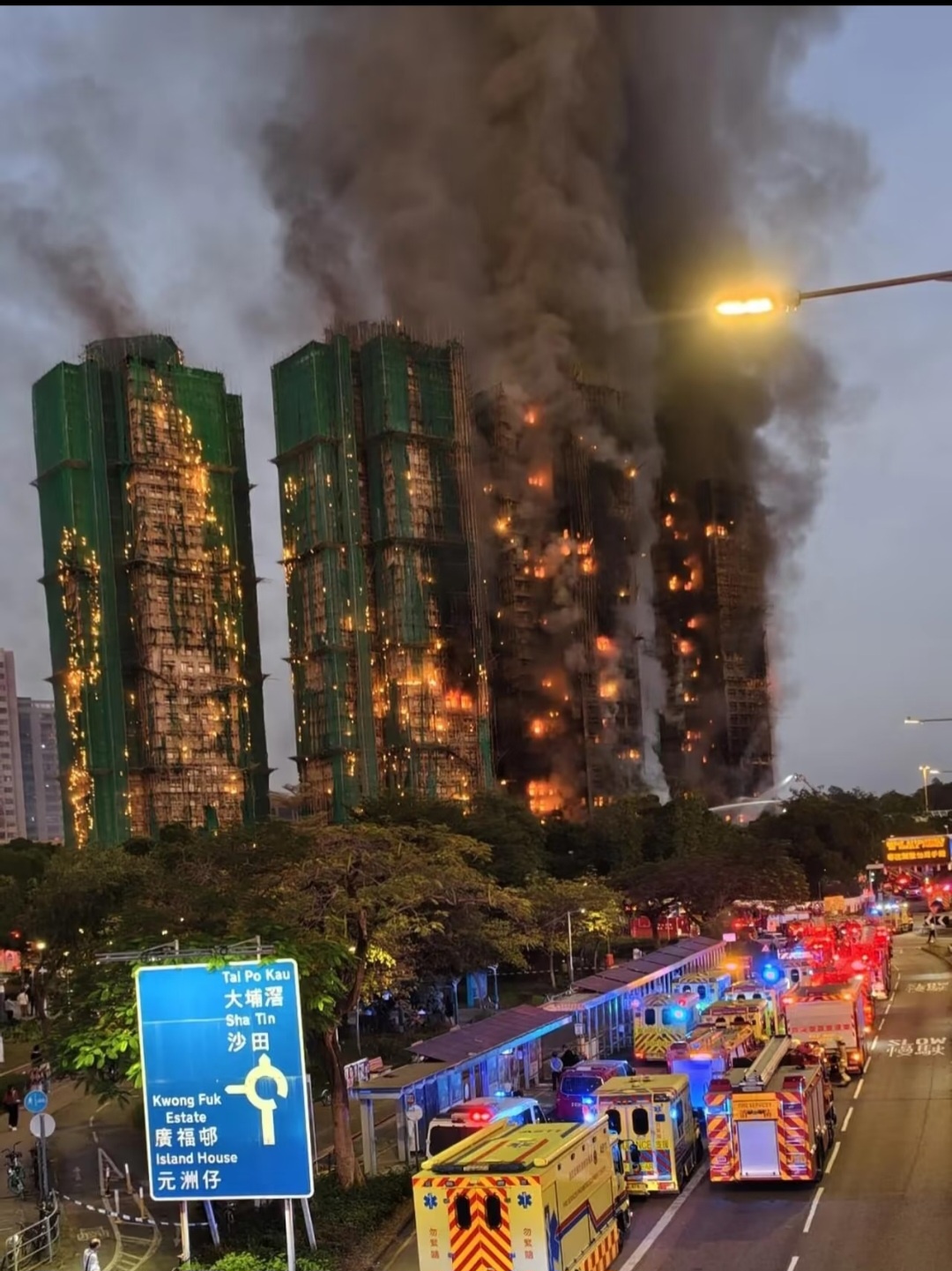 홍콩타이포초대형화재사진