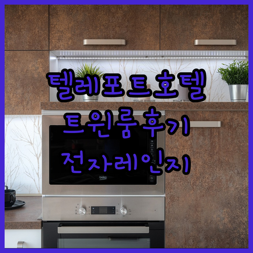 암스테르담 텔레포트 호텔 트윈룸 후기