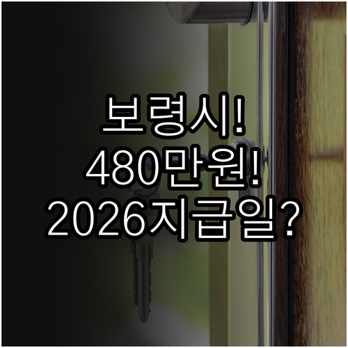 보령시 청년월세 최대 480만원 지원..