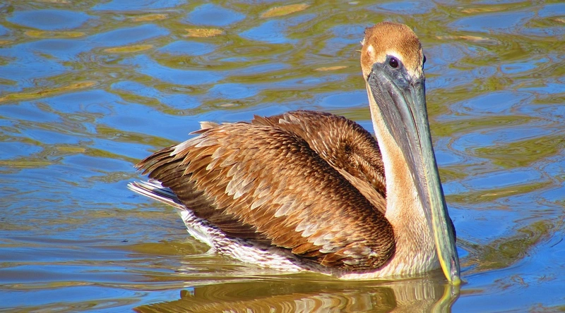 동적 케이블의 주요 재료
