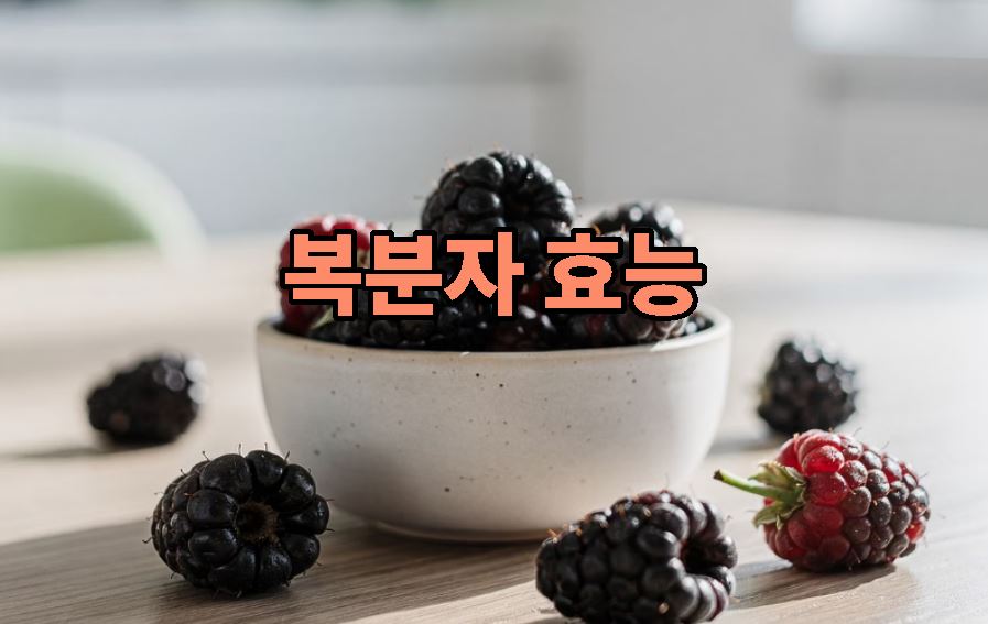 복분자 효능