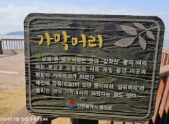 장봉도 운항요금