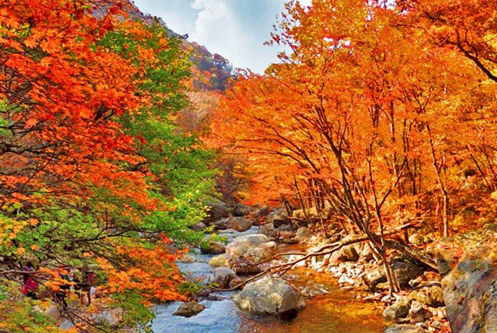 추천 지리산 가을 숲 산책 코스