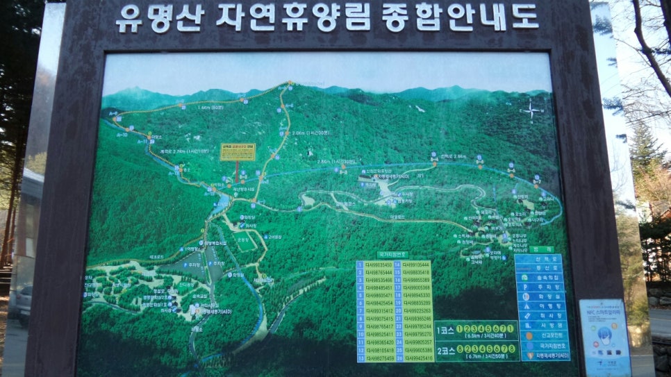 100대 명산 등산하기 다섯번째 유명할 만큼 아름다운 산 유명산 신령스러운 전설과 자연미, 역사문화가 어우러진 산 용문산 연계 산행
