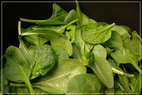 건강하게 활용하는 팁