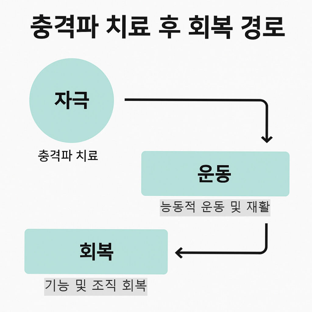 충격파 치료만 받고 가면 안 되는 이유, 회복은 운동으로 완성됩니다