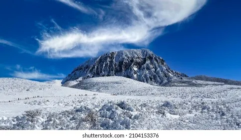 한라산 탐방로예약 시스템 등산 코스_5